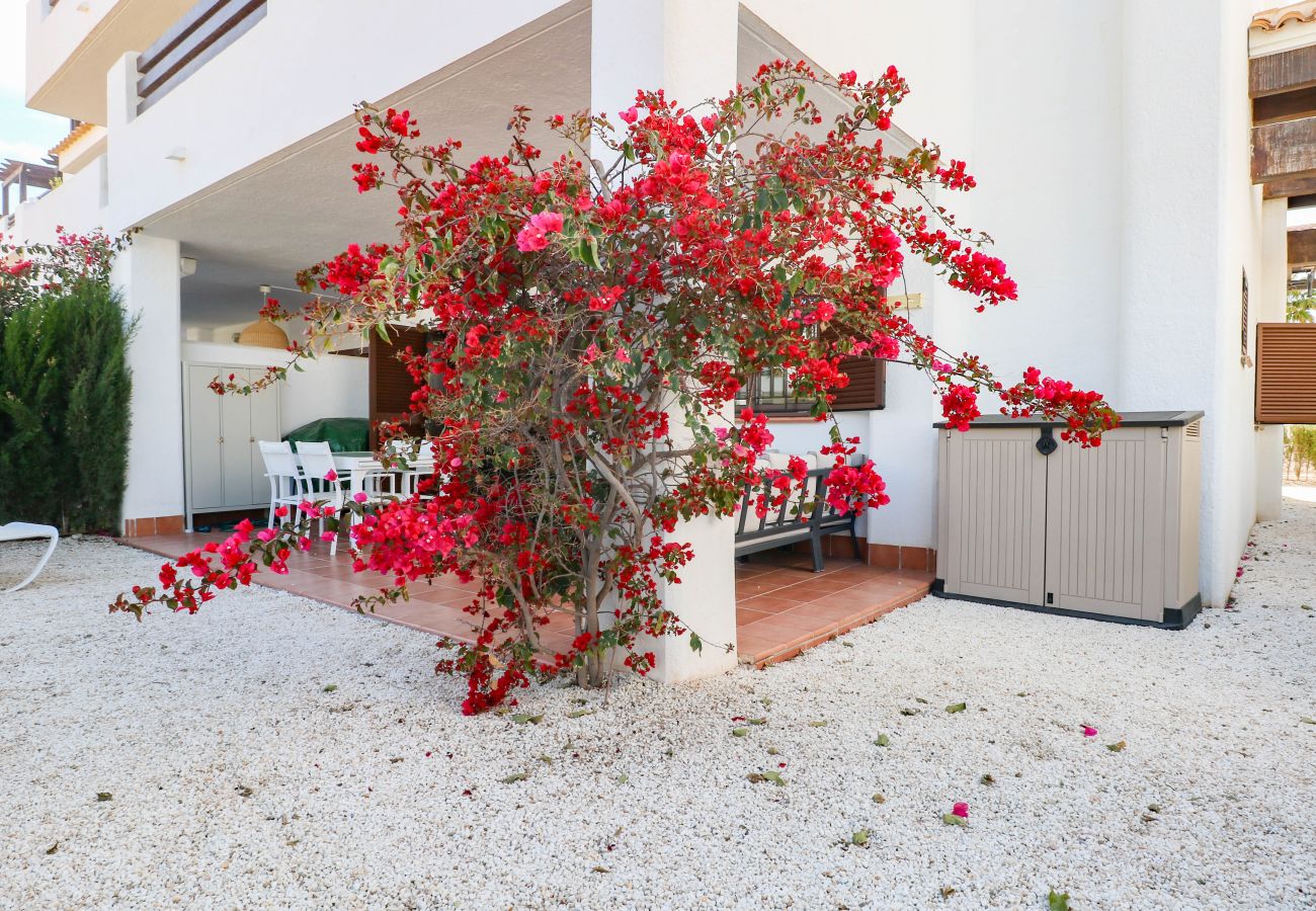 Appartement in San Juan de los Terreros - F4.168