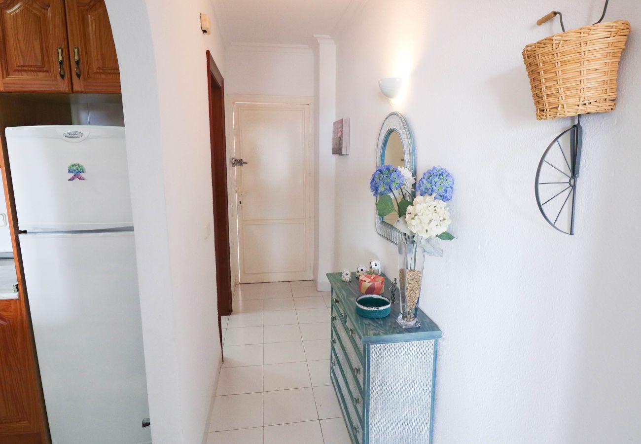 Studio in San Juan de los Terreros - M.6