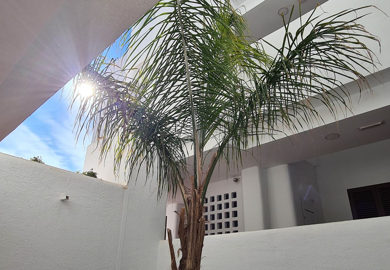 Apartamento en San Juan de los terreros - El Sueño