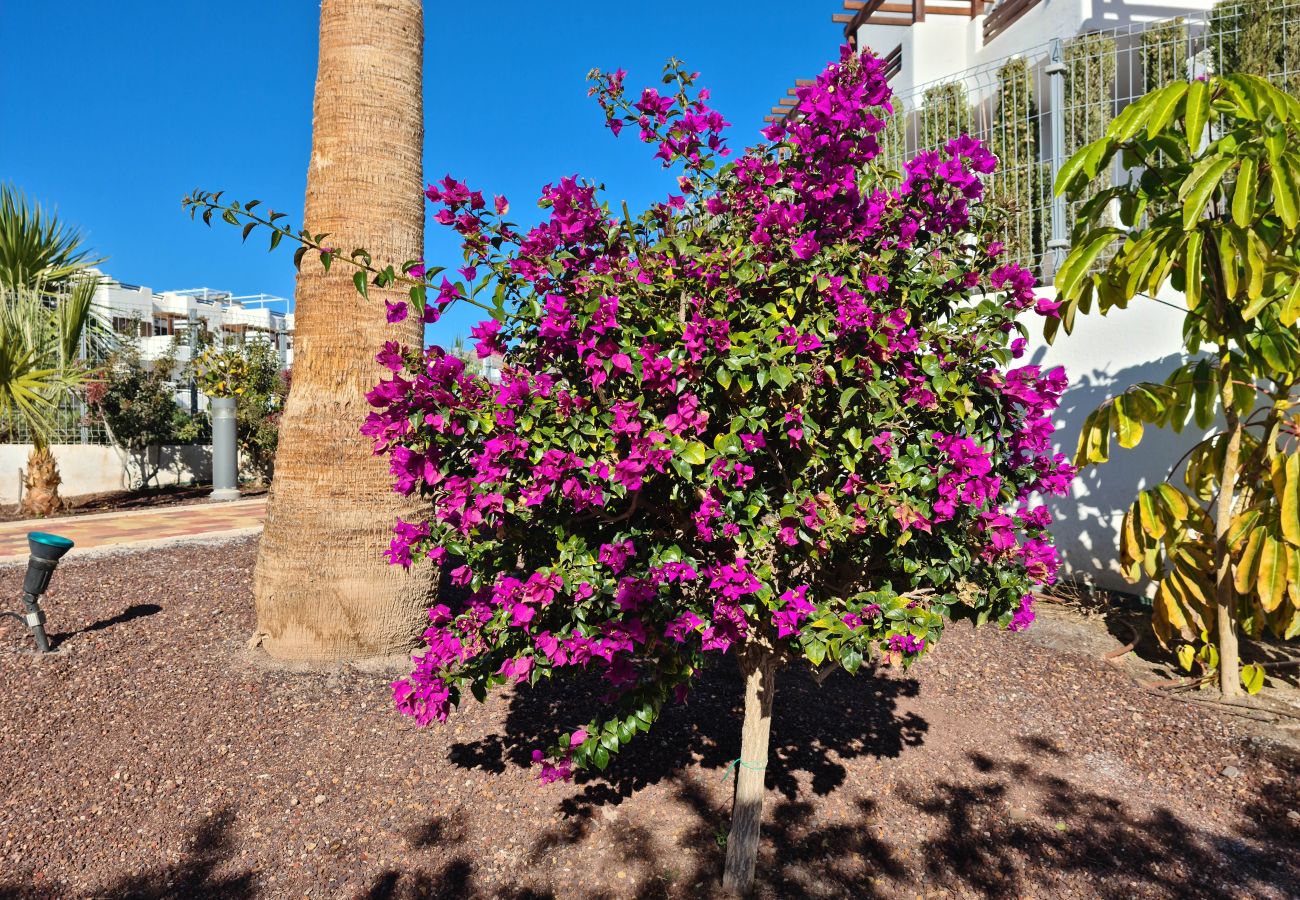 Apartamento en San Juan de los terreros - El Sueño