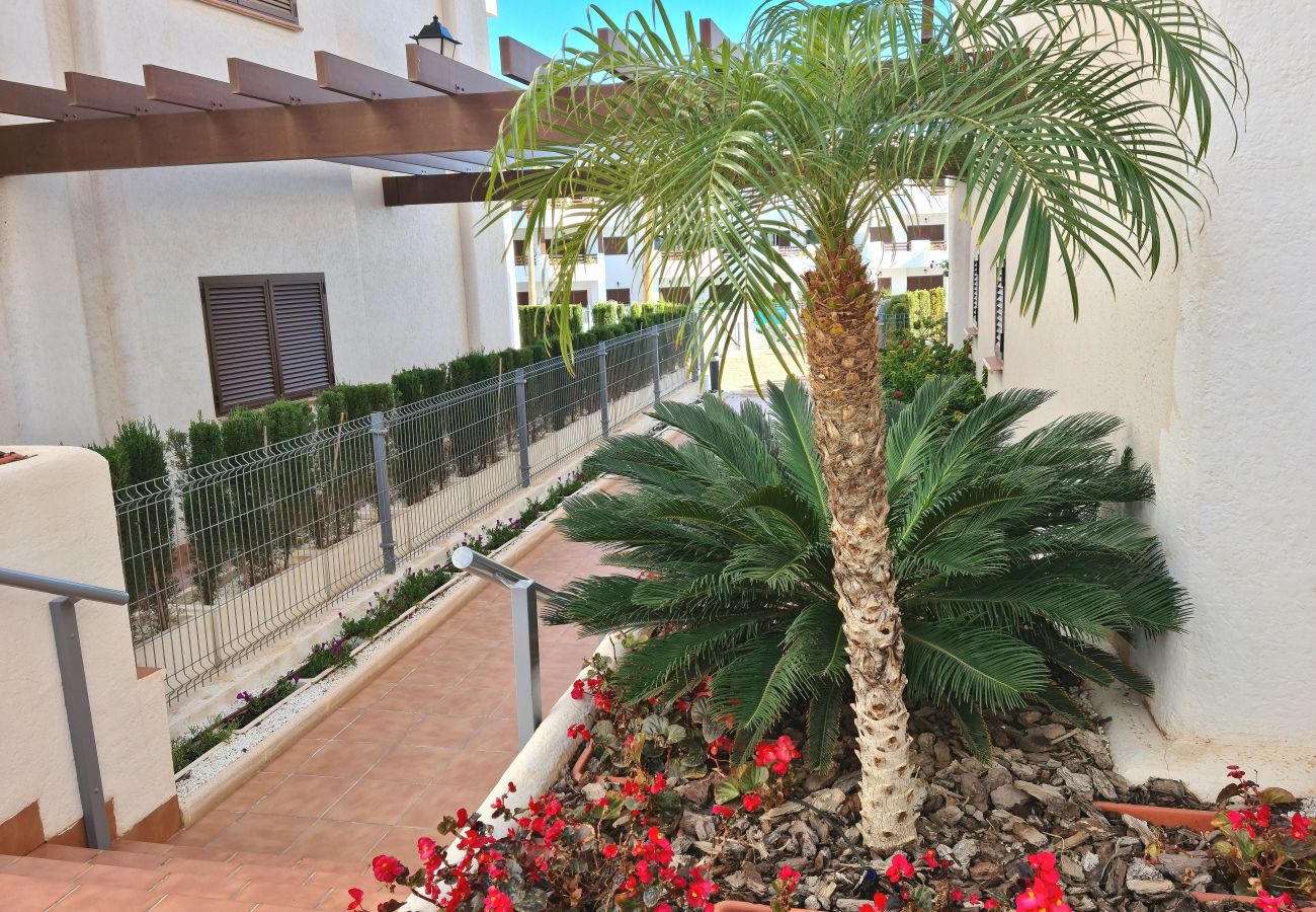 Apartamento en San Juan de los terreros - El Sueño