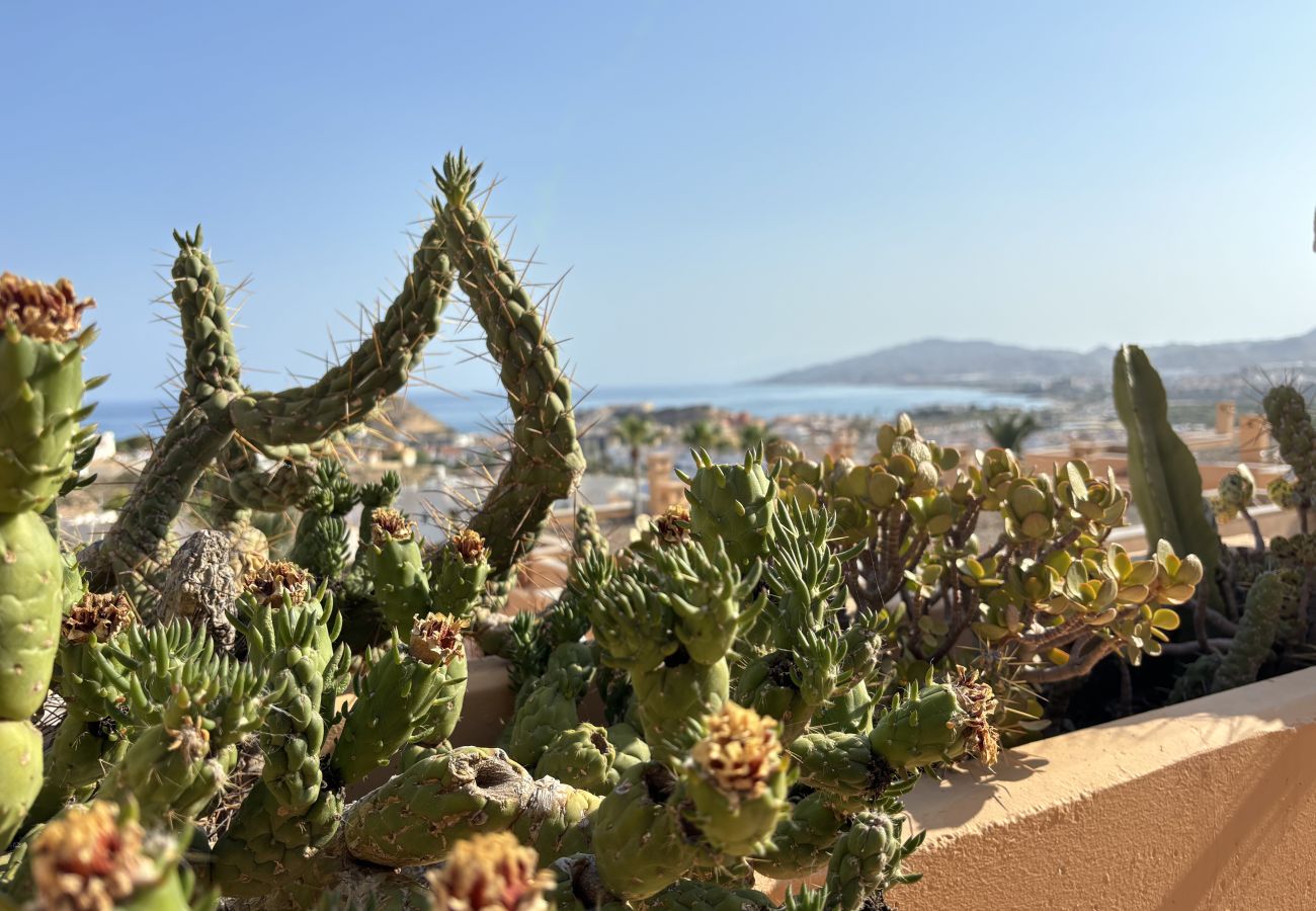 Apartment in San Juan de los terreros - El Descanso