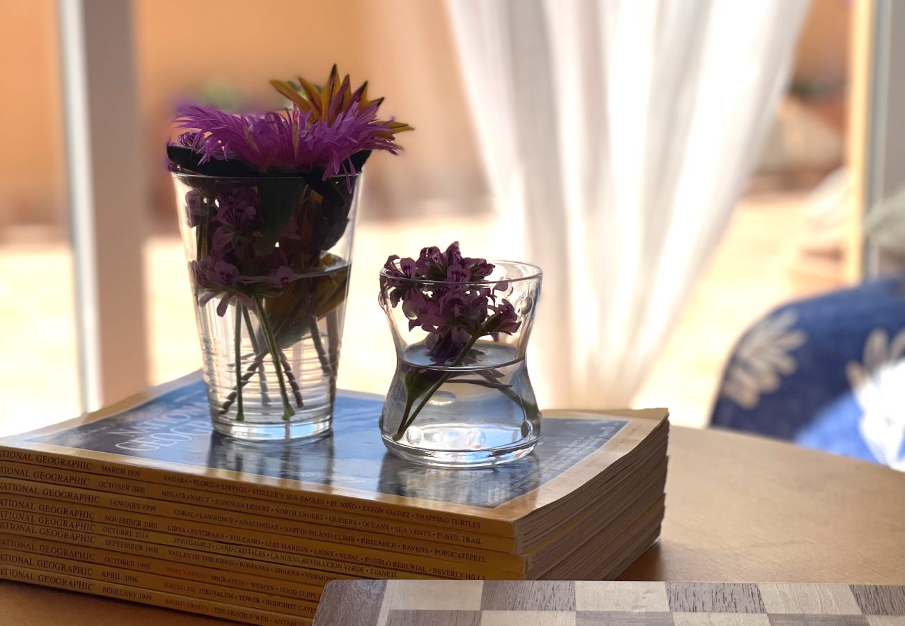 Apartment in San Juan de los terreros - La Brisa de Terreros